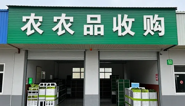 农业技术服务成为种苗供应升级新选择