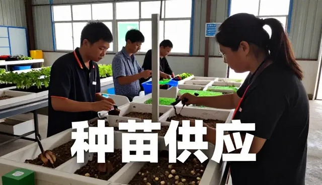 农产品收购应用体验全面介绍